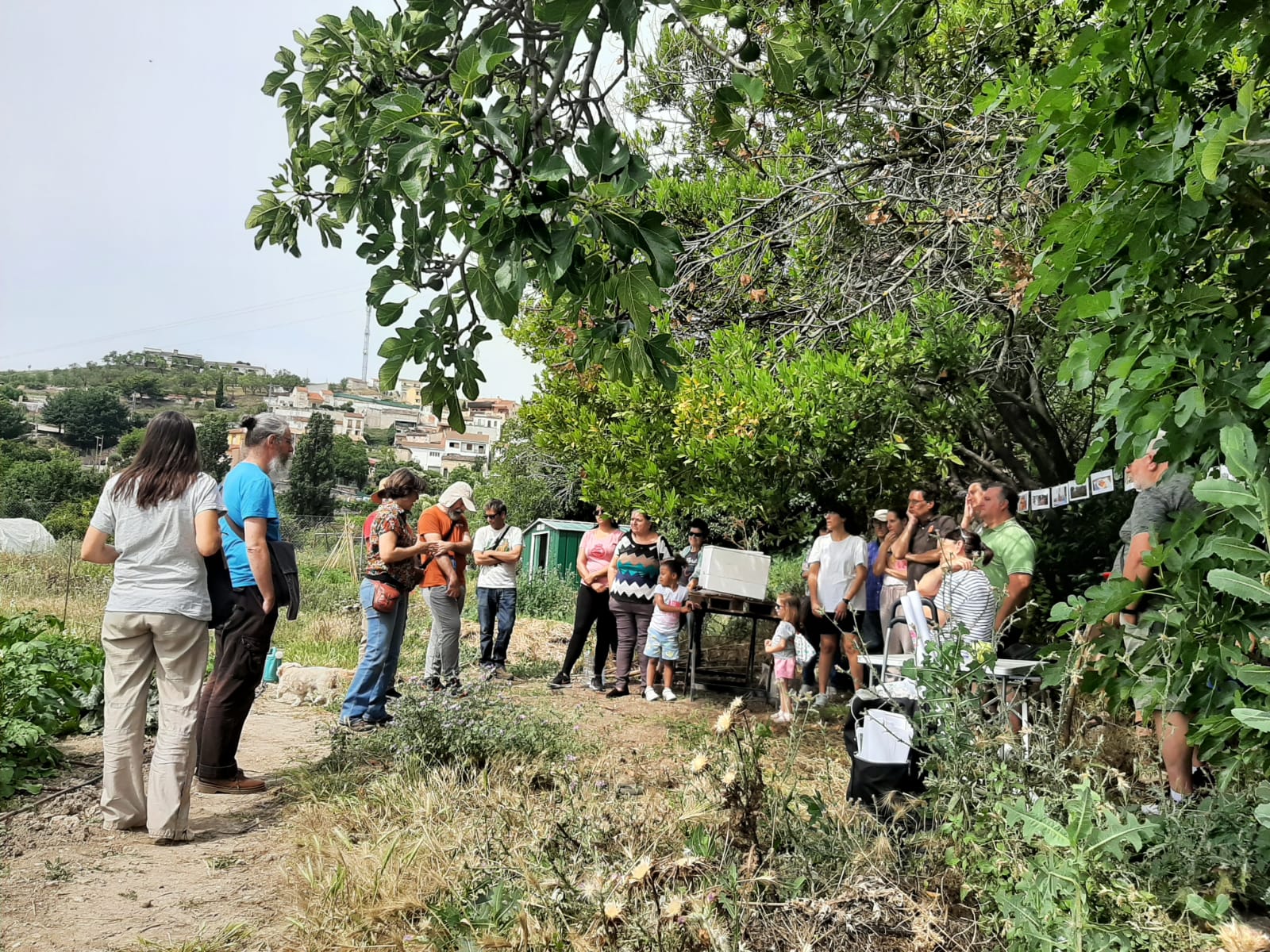 Gran acogida en la jornada de 'huertas abiertas' de Horche