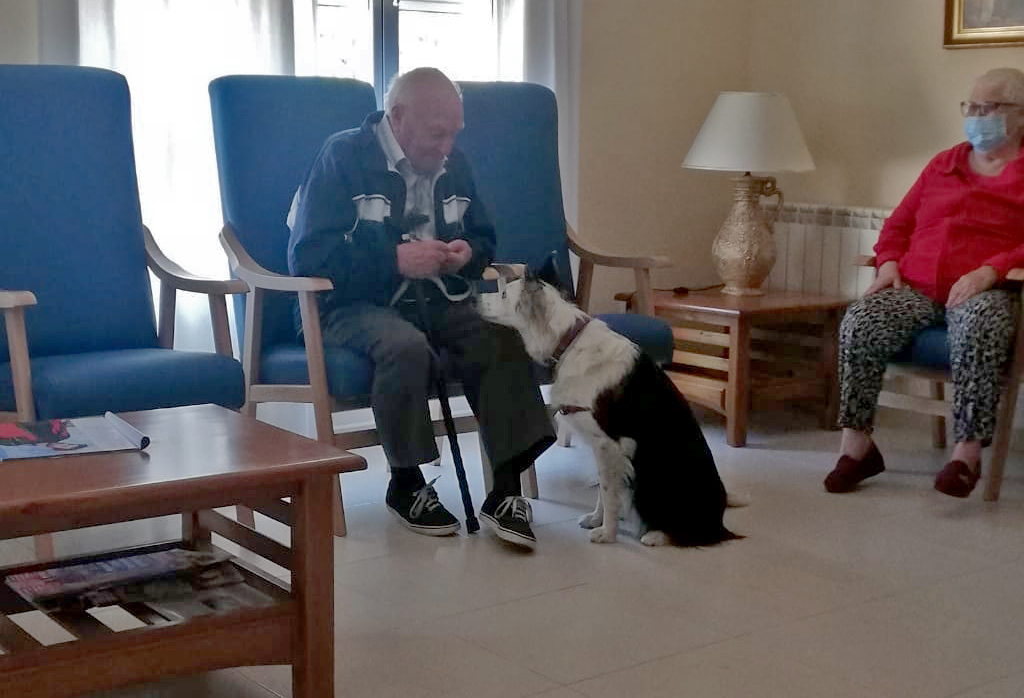 La Vivienda de Mayores de Horche ofrece un año más a sus residentes la actividad de terapia asistida con perros