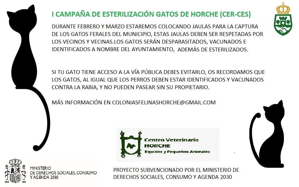 CARTEL GATOS.jpg