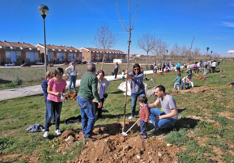 árbol 2020 1.jpg