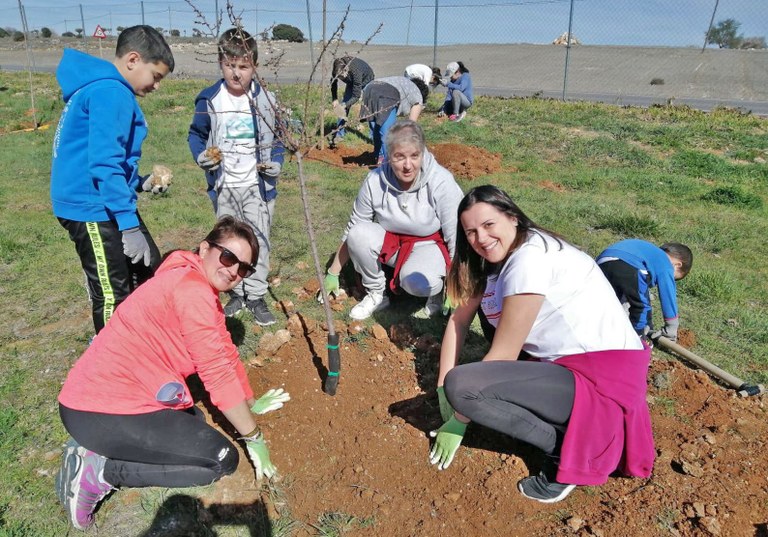 árbol 2020 4.jpg