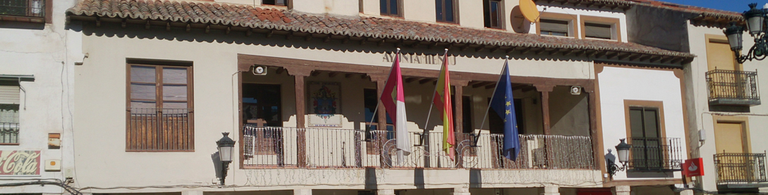 ayuntamiento1.png