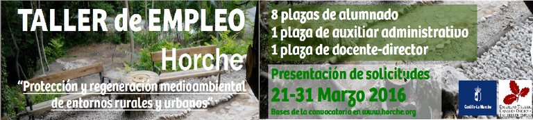 tallerEmpleo2016.png