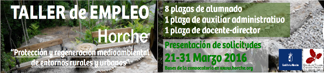 tallerEmpleo2016.png