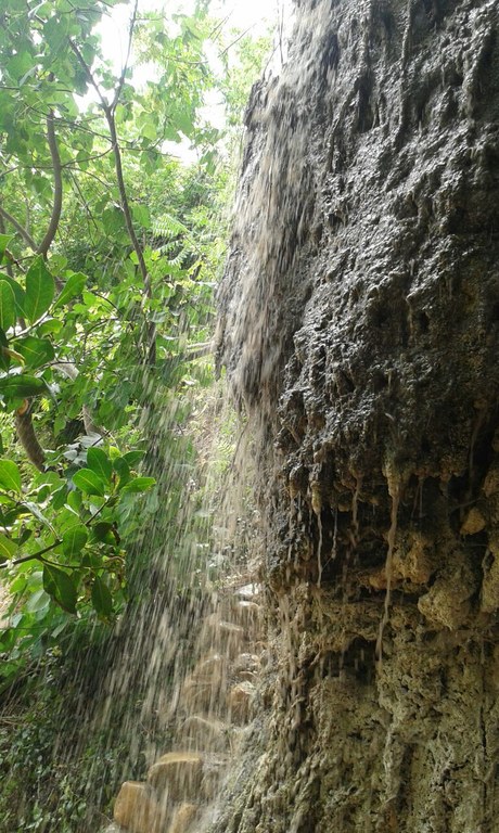 cascada_2.jpg