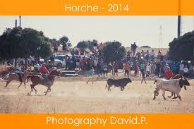 encierro2014.jpg