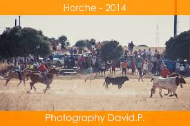encierro2014.jpg