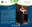 recitaldecanteflamencoydanzo_alejandrotorres_1331885839.jpg