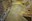 phoca_thumb_l_201203100640.jpg