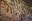 phoca_thumb_l_201203100645.jpg