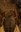 phoca_thumb_l_201203100656.jpg