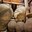 phoca_thumb_m_201203100614.jpg