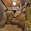 phoca_thumb_m_201203100615.jpg