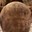 phoca_thumb_m_201203100620.jpg