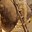 phoca_thumb_m_201203100631.jpg