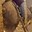 phoca_thumb_m_201203100632.jpg
