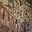 phoca_thumb_m_201203100645.jpg
