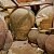 phoca_thumb_s_201203100613.jpg