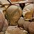 phoca_thumb_s_201203100613.jpg