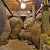 phoca_thumb_s_201203100615.jpg