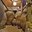 phoca_thumb_s_201203100615.jpg