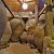 phoca_thumb_s_201203100615.jpg