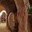 phoca_thumb_s_201203100617.jpg