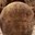 phoca_thumb_s_201203100620.jpg
