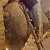 phoca_thumb_s_201203100632.jpg