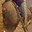 phoca_thumb_s_201203100632.jpg