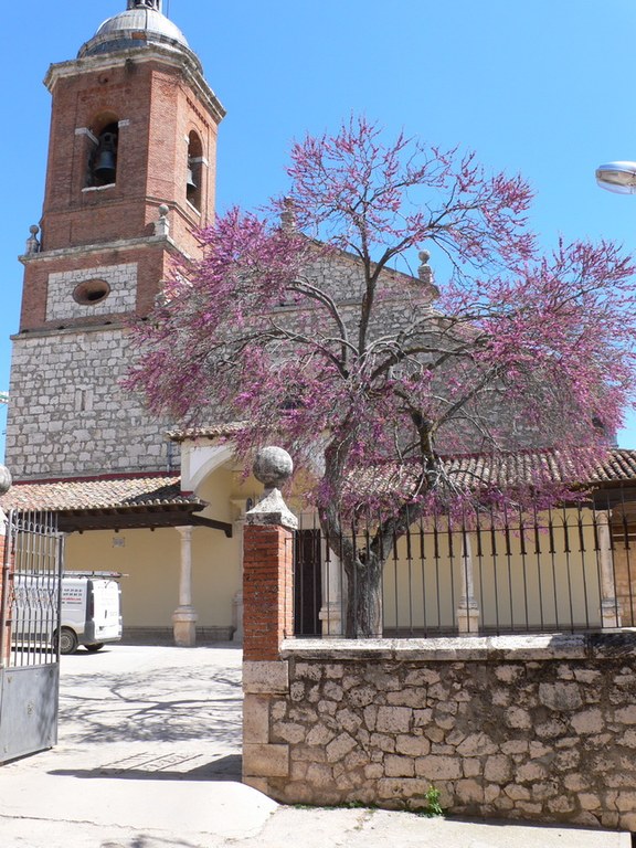 20.negro.iglesia parroquial de nuestra seora de la asuncin.2 2.jpg