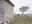 phoca_thumb_l_14.negro.ermita de san isidro.4.jpg