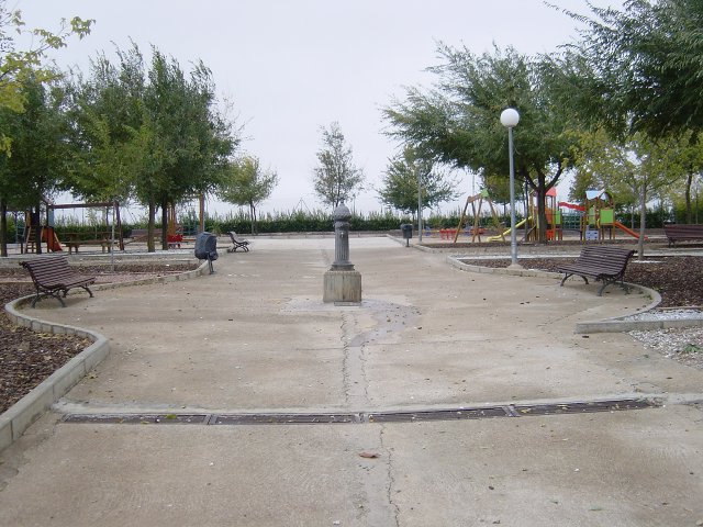 phoca_thumb_l_23.negro.parque ignacio calvo.jpg