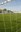 phoca_thumb_l_27.negro.polideportivo municipal san roque - campo de futbol.2.jpg