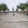 phoca_thumb_m_23.negro.parque ignacio calvo.jpg