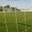 phoca_thumb_m_27.negro.polideportivo municipal san roque - campo de futbol.2.jpg