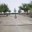 phoca_thumb_s_23.negro.parque ignacio calvo.jpg