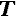 text.png