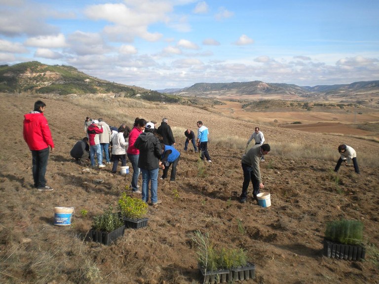 PlantacionArbolesBalamergo_1.JPG