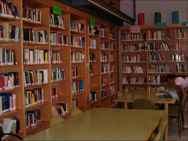 servicios_7.jpg