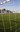 deportes-futbol-3.jpg